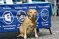 IBG beim Bensberger Herbstfest